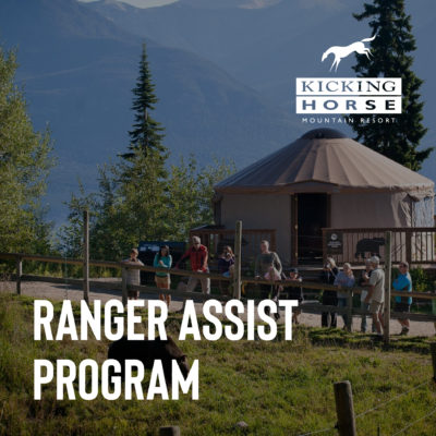 grizzly bear refuge tour